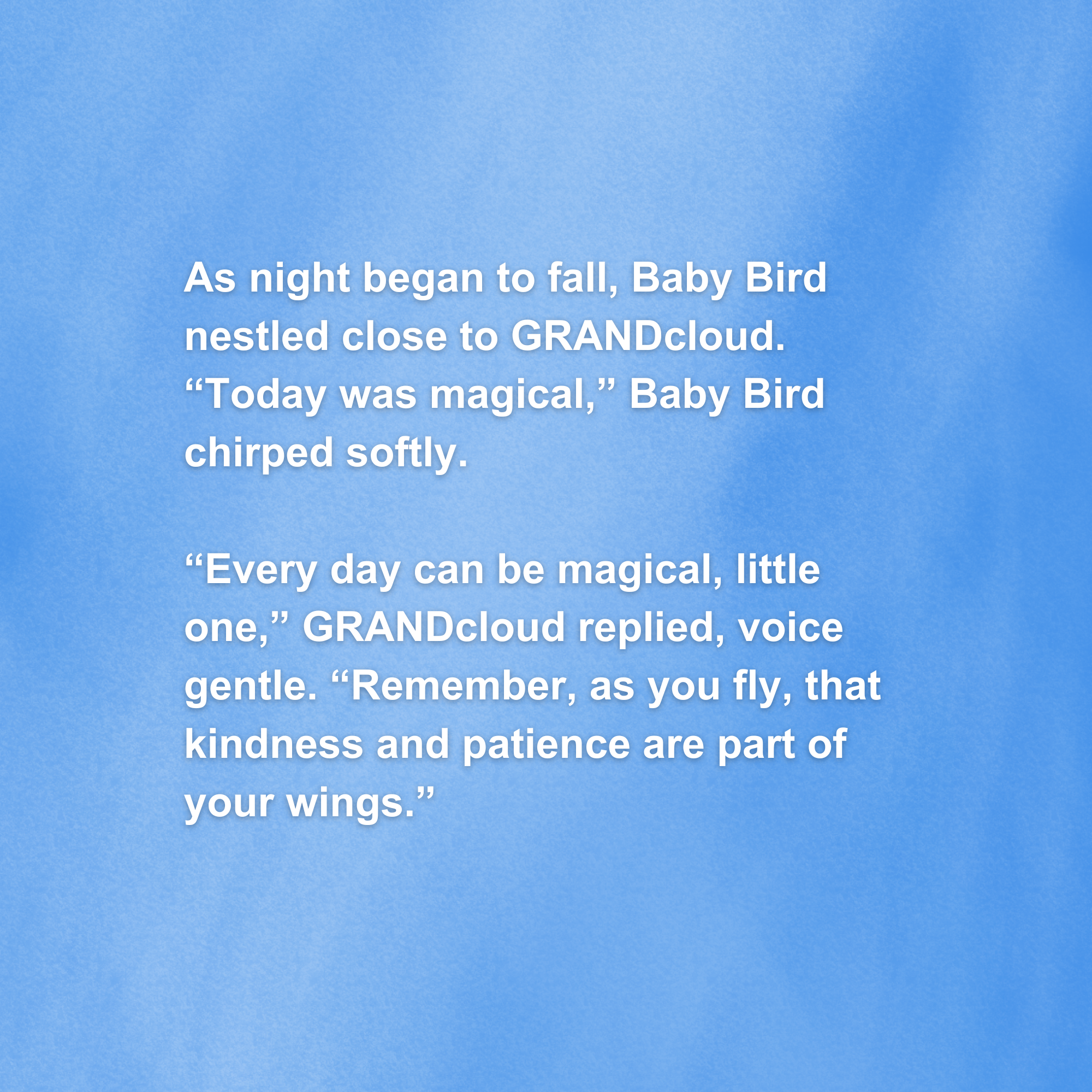 Cloud & Bird (Hardcover Book)